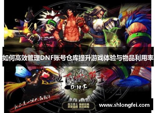 如何高效管理DNF账号仓库提升游戏体验与物品利用率