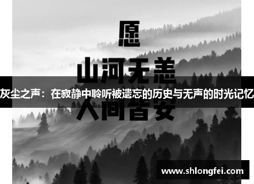 灰尘之声：在寂静中聆听被遗忘的历史与无声的时光记忆